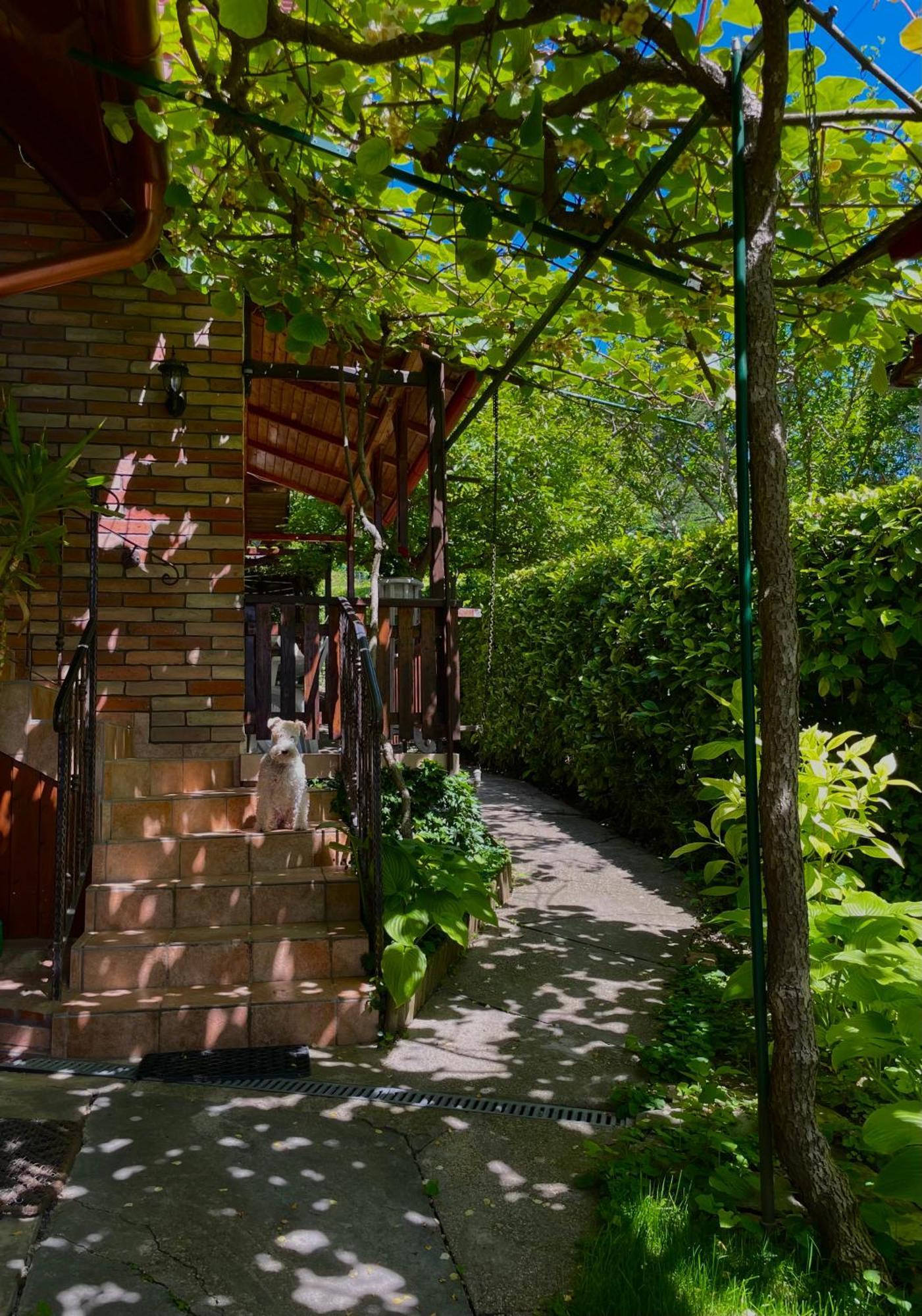 Andiko Vendeghaz Holiday home *